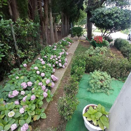 Apartmani Gaga Bibinje Exterior foto