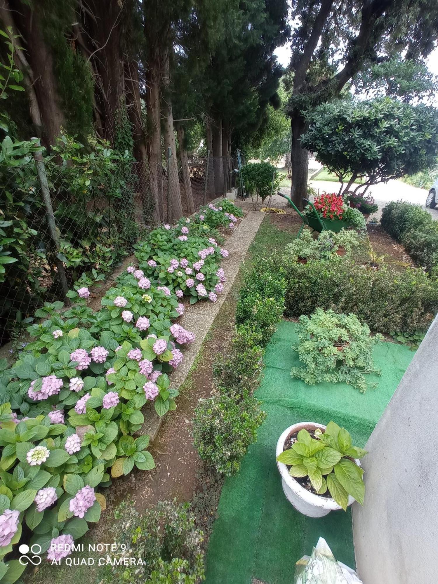 Apartmani Gaga Bibinje Exterior foto