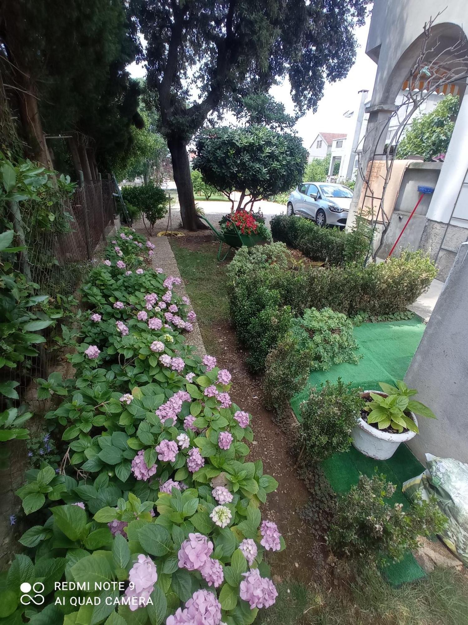 Apartmani Gaga Bibinje Exterior foto